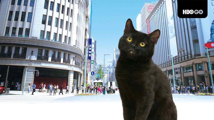 Ginza Cat - HBO Go