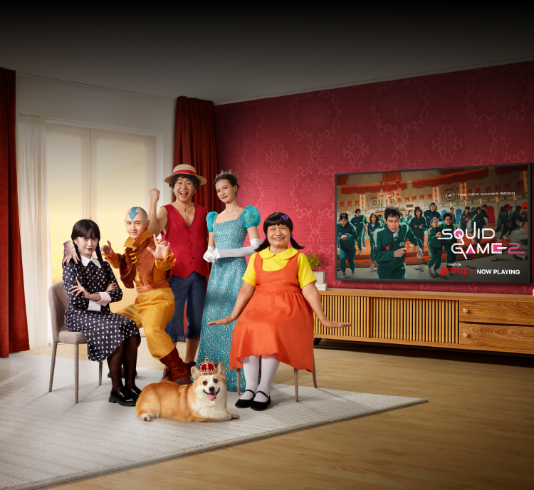 Fiber Netflix page banner