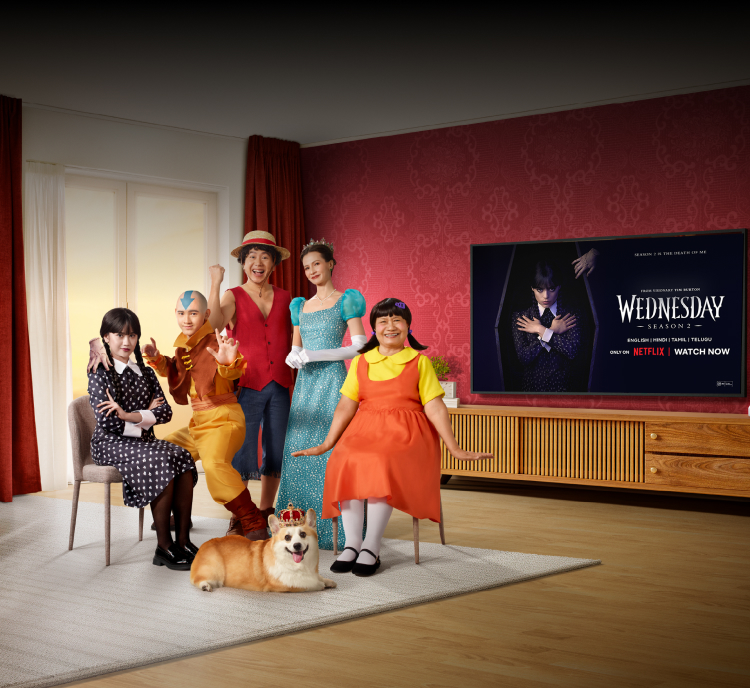 Fiber Netflix page banner
