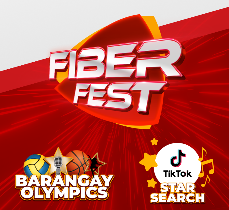 Fiber Netflix