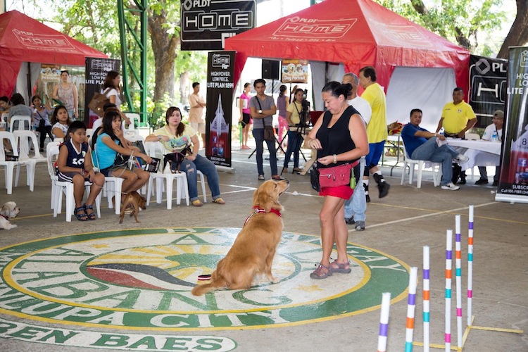 Events showcased impressive tricks by talented canines.