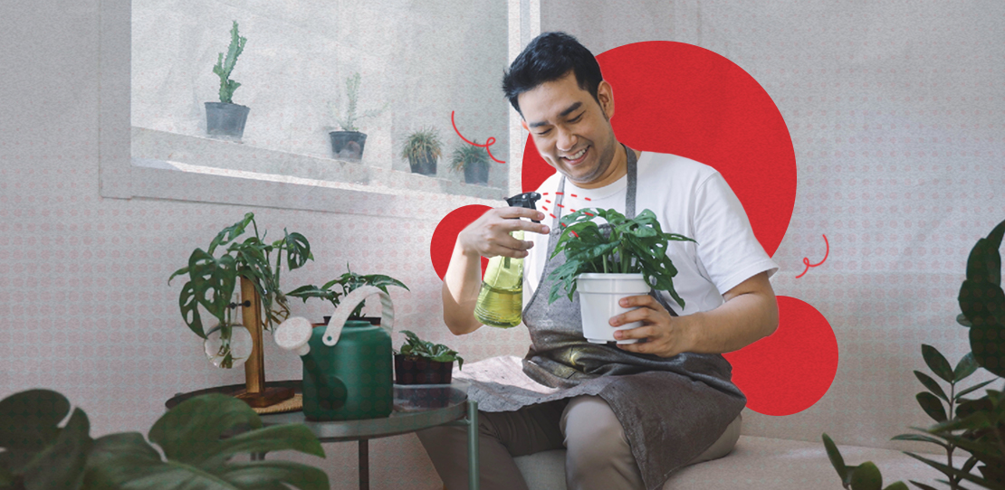 AB_Ready, Set, Grow_ 4 Smart Solutions for Your Indoor Garden