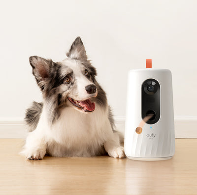 Eufy Pet Dog Camera