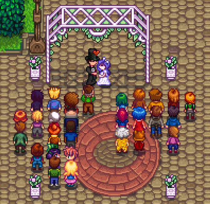 Stardew Valley Marriage Stardew Valley