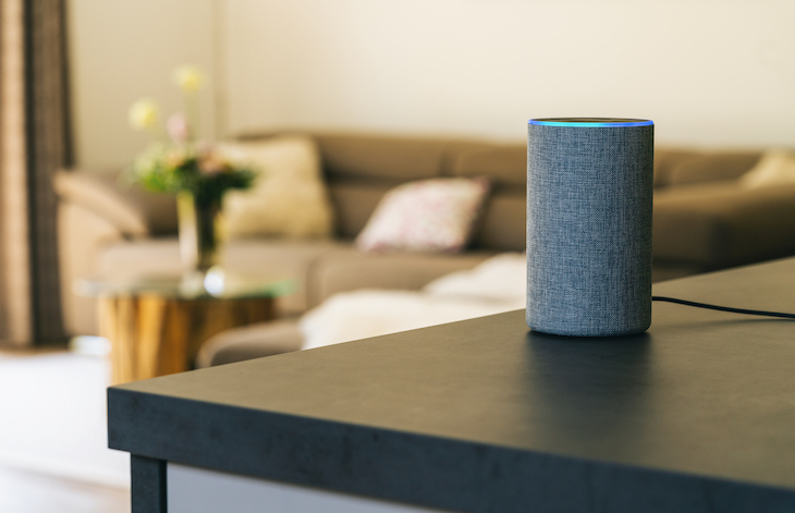 voice controlled speaker and personal assistant at home